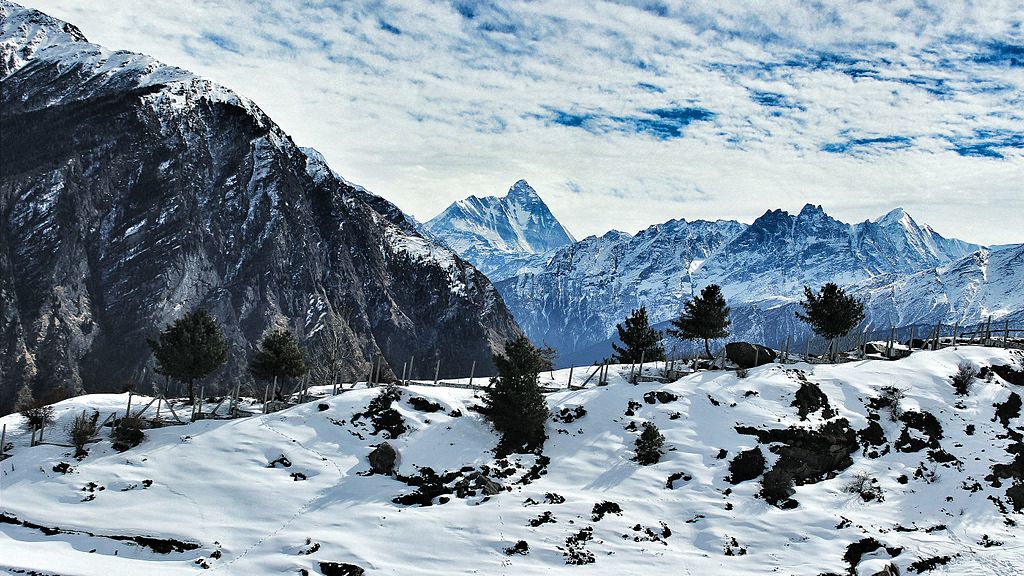 auli skiing