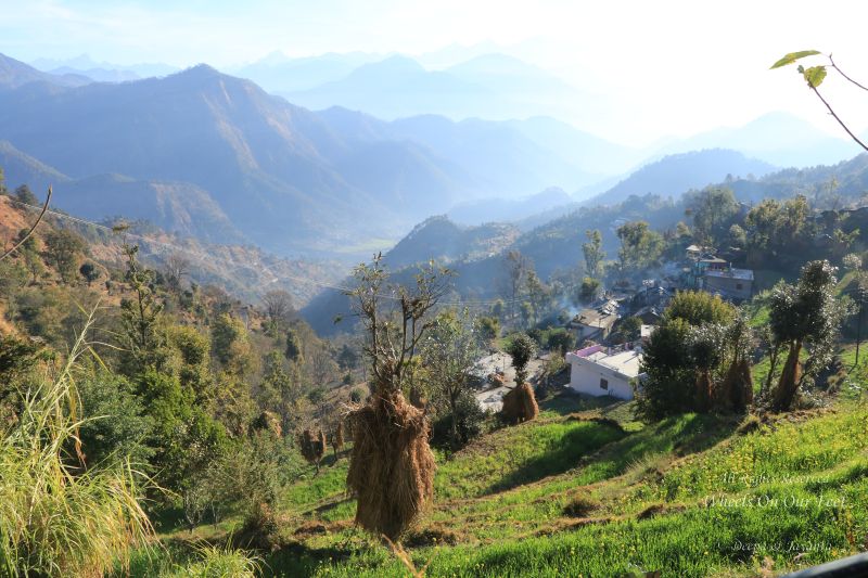 pokhari village